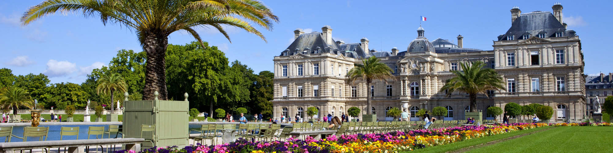 avocat contentieux informatique